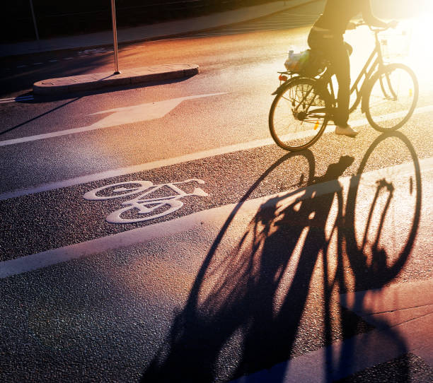 istock Bicycle and bike lane symbol in fall sunset 1046412656