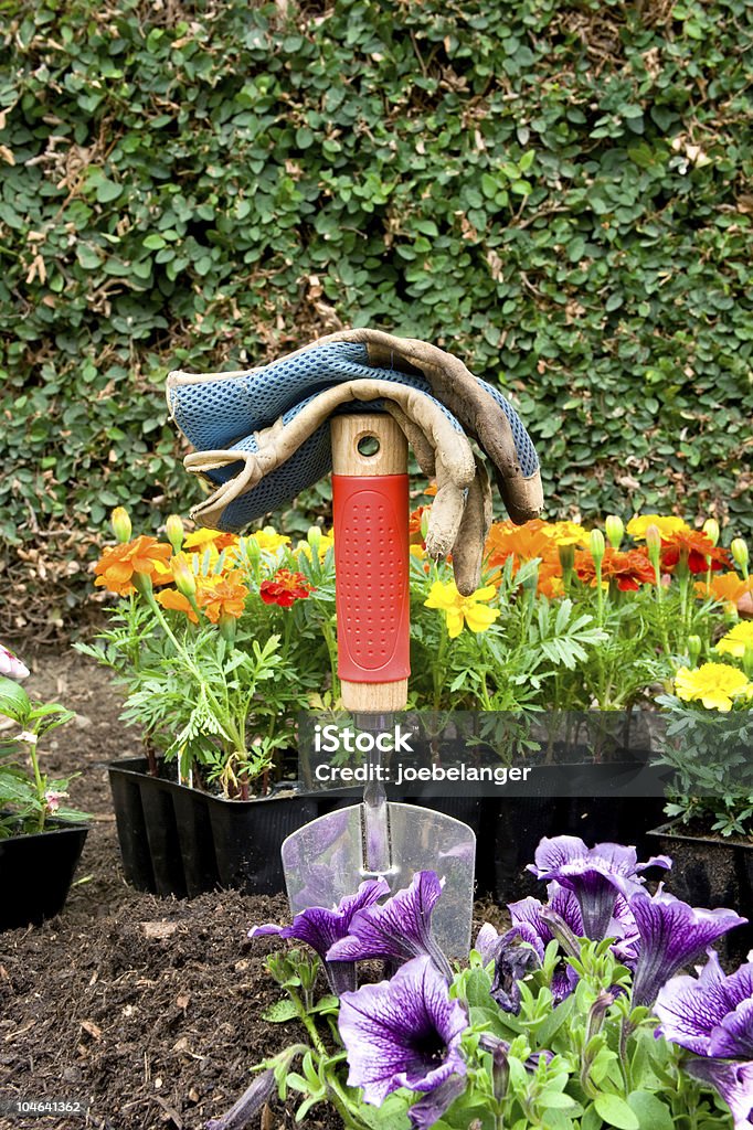 Gardening equipment and flowers  Beauty In Nature Stock Photo