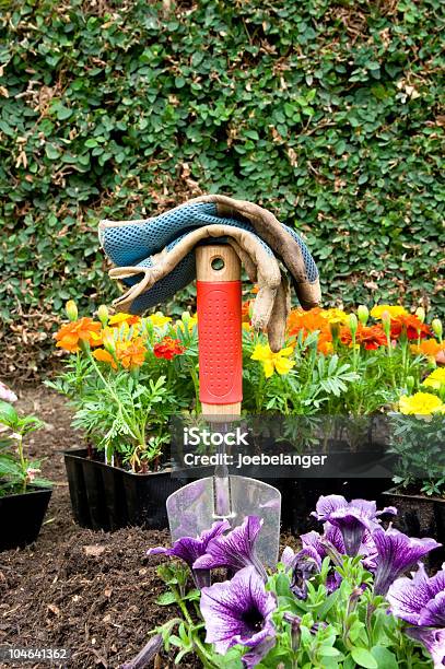 Gardening Equipment And Flowers Stock Photo - Download Image Now - Beauty In Nature, Color Image, Day