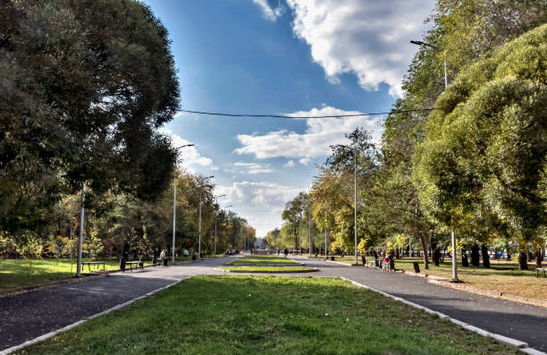 istock alley for walks with old trees 1046415880