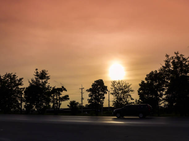 istock silhouette image - The car on the road with the trees at sunset 1046419088
