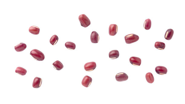 istock red bean on gray color background and clipping path. 1046419224
