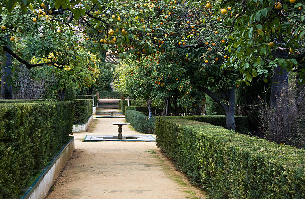 Seville, Spain - June 09, 2017 : Panoramic view of big and beautiful garden - Gardens of Royal Alcazar in Seville. Spain.