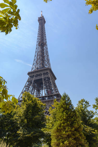 istock Eiffel tower framed in trees during sunny summer day 1046422954