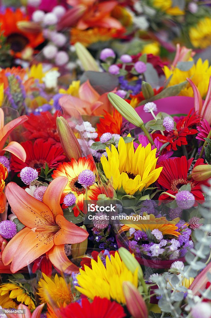Красочные цветочные букеты Флорист - Стоковые фото Подсолнух роялти-фри
