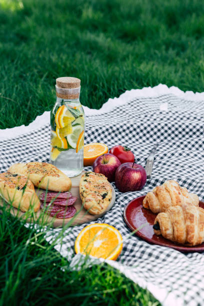 istock Picnic in the park on the green grass 1046431504