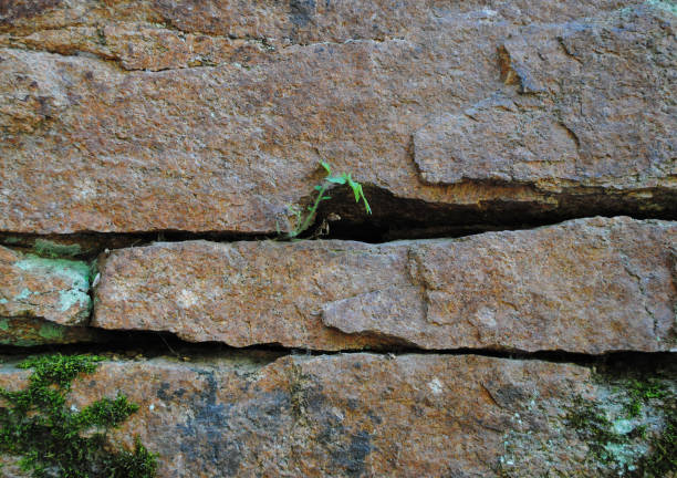 istock Beautiful texture of a stone of high resolution 1046436816