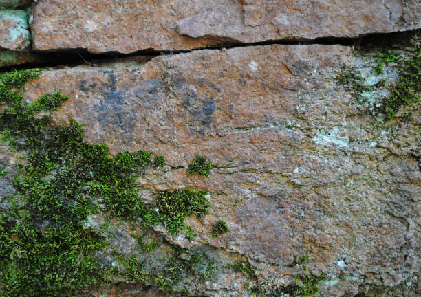 istock Beautiful texture of a stone of high resolution 1046436836