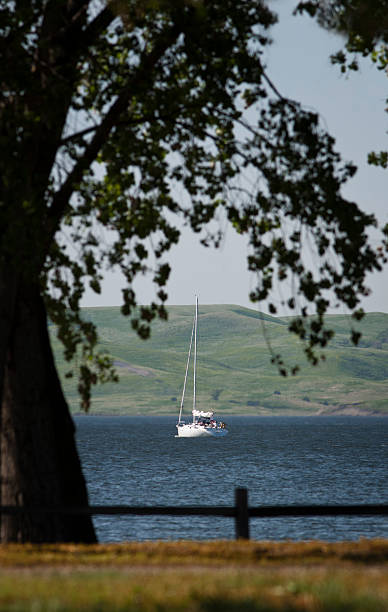 barca a vela sul lago francis caso, dakota del sud - 6639 foto e immagini stock