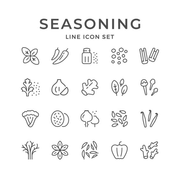 조미료의 설정된 라인 아이콘 - onion vegetable leaf spice stock illustrations