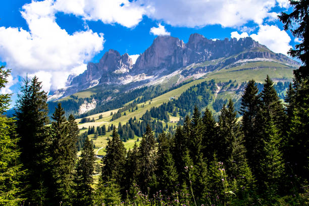 istock The Latemar, a mountain in the Italian Dolomites 1046445074