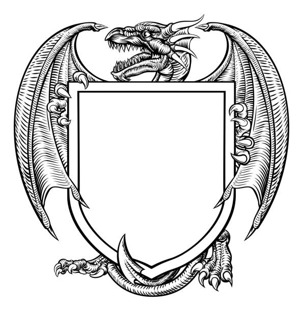 ilustrações, clipart, desenhos animados e ícones de dragon crest brasão heráldico escudo emblema - grunge shield coat of arms insignia