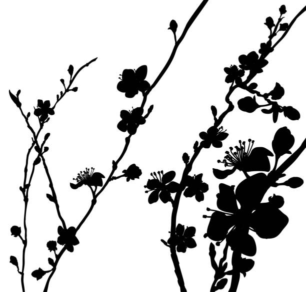 ilustrações, clipart, desenhos animados e ícones de silhueta flor flores fundo padrão - silhouette white background black white