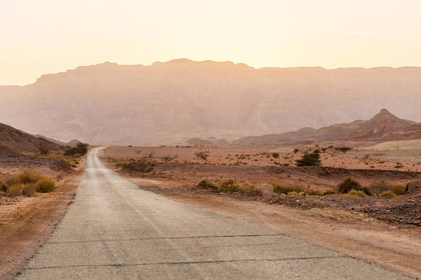 istock Panorama with palms in Timna Park 1046482826