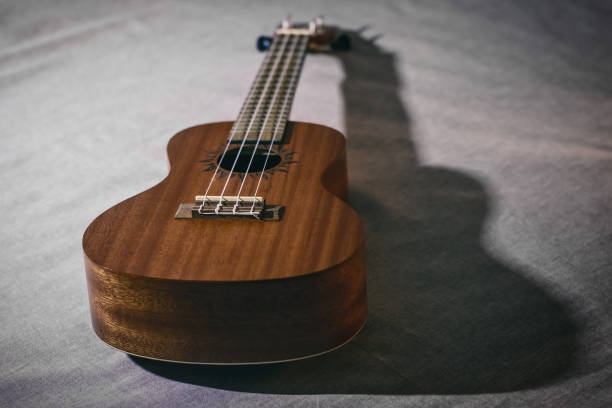 istock the body and strings of a ukulele 1046485060