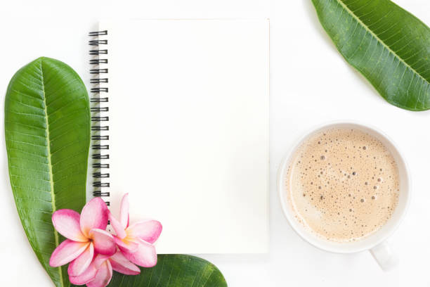 istock Tropical top view summer botanical concept still life notebook a 1046485484