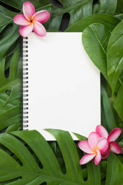istock Tropical top view summer botanical concept still life white fram 1046485758