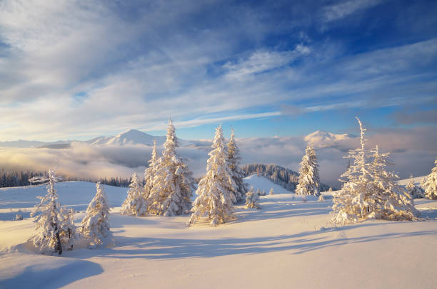 istock Winter landscape in mountains 1046485832
