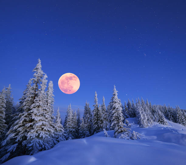 Photo of Full moon in winter