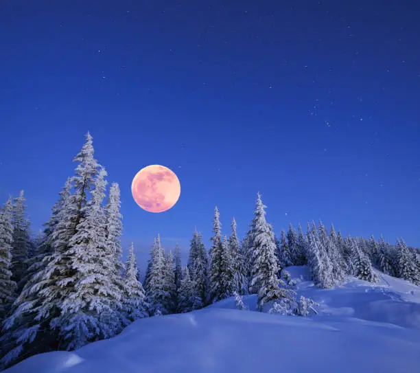 Winter landscape in the mountains at night. A full moon and a starry sky. Carpathians, Ukraine