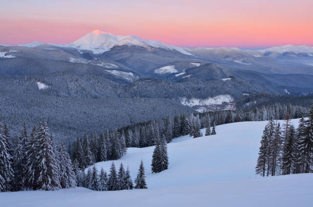 istock Winter landscape at dawn 1046485840
