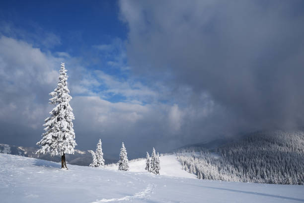 istock Christmas landscape with spruce in the mountains 1046485890