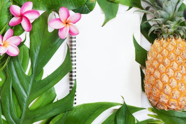 istock Tropical top view summer botanical concept  still life notebook 1046485898