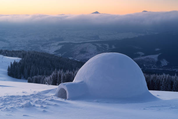 istock Snow igloo in the mountains 1046485914