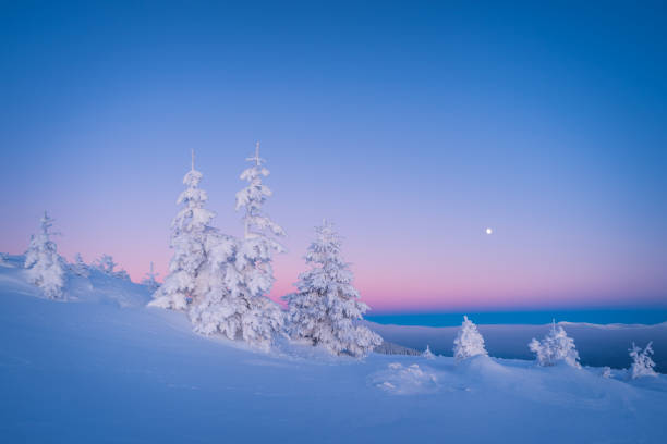 istock Frosty morning in mountains 1046485930