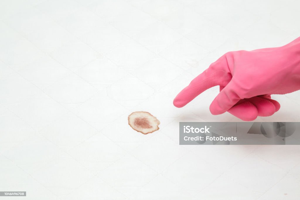 Woman's hand in rubber protective glove pointing to mattress blood stain after night menstruation. Fresh or old stains cleaning from white sheet of bed. Sheet - Bedding Stock Photo Woman's hand in rubber protective glove pointing to mattress blood stain after night menstruation. Fresh or old stains cleaning from white sheet of bed. Sheet - Bedding Stock Photo
