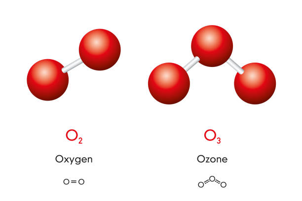 Oxygen and ozone molecule models and chemical formulas Oxygen O2 and ozone O3 molecule models and chemical formulas. Dioxygen and trioxygen. Gas. Ball-and-stick models, geometric structures and structural formulas. Illustration on white background. Vector o2 stock illustrations