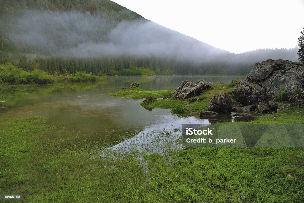 Misty Lake paisaje - Foto de stock de Agua libre de derechos