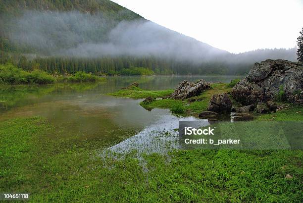 Misty Lake Paisaje Foto de stock y más banco de imágenes de Agua - Agua, Agua estancada, Alpes Europeos