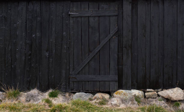 Very dark shed exterior wall with door.