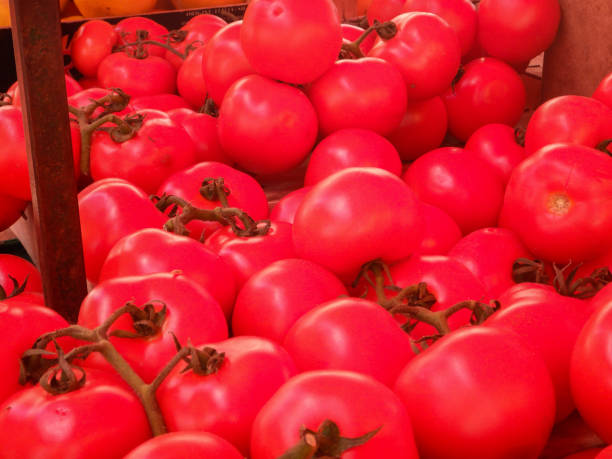 istock Tomatoes at the market 1046518004