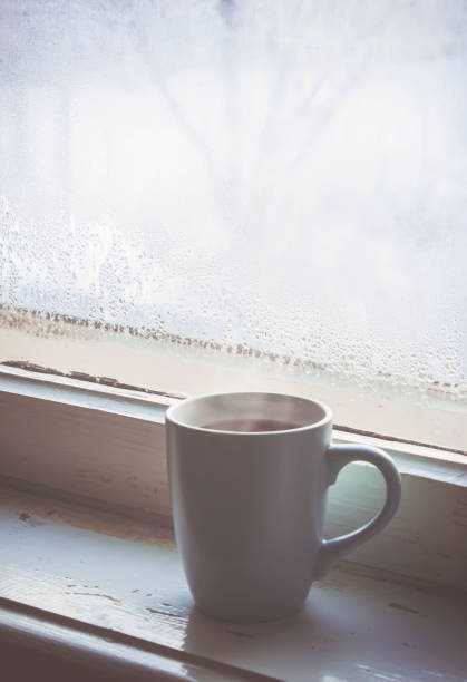 istock hot tea in the pot near the window. selective focus. 1046518822