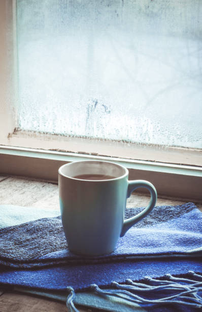 istock hot tea in the pot near the window. selective focus. 1046518876