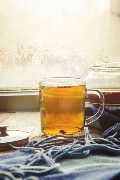 hot tea in the pot near the window. selective focus.