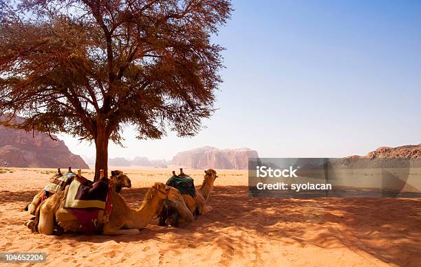 Deserto Del Wadi Rum Giordania - Fotografie stock e altre immagini di Wadi Rum - Wadi Rum, Ambientazione esterna, Arabia
