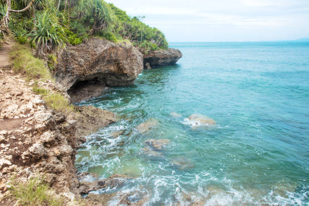 istock Idillic coral ocean coast with turquoise water 1046529928