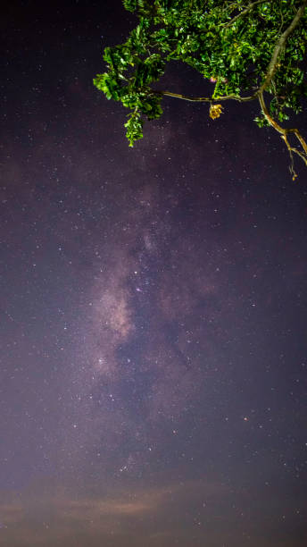istock Milky way galaxy with stars and space dust in terraced rice field. (Visible noise due to high ISO, soft focus, shallow DOF, slight motion blur) 1046533004