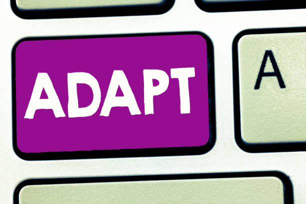 istock Writing note showing Adapt. Business photo showcasing Make suitable for a new use or purpose Adjusted to this condition 1046533066