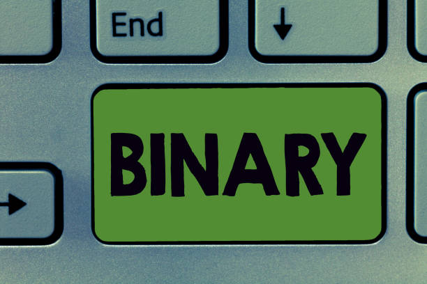 istock Text sign showing Binary. Conceptual photo relating to using or denoting system of numerical notation of two 1046533178