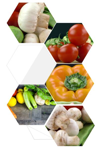 istock Mix of healthy Organic Vegetable Collage 1046536776