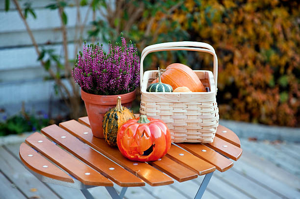 istock Autumn in the garden 104654190