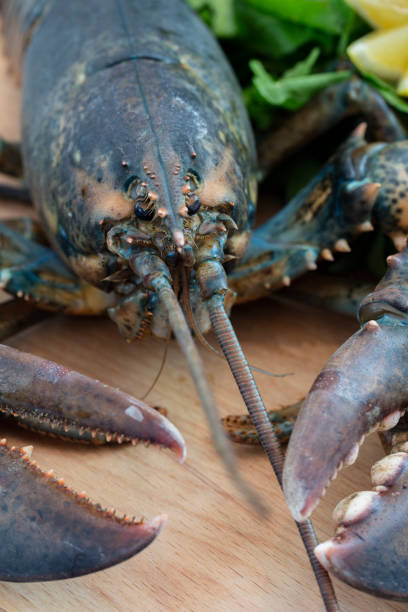 istock lobster dinner with lemon and lettuce garnish 1046543490