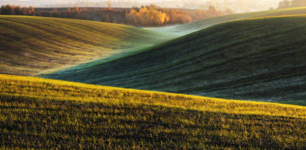 istock picturesque hilly field. green wavy field 1046559994