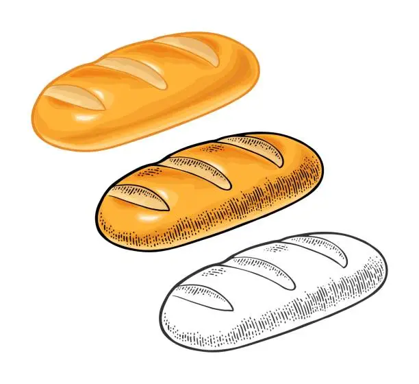 Vector illustration of Loaf of bread. Vector color hand drawn vintage engraving