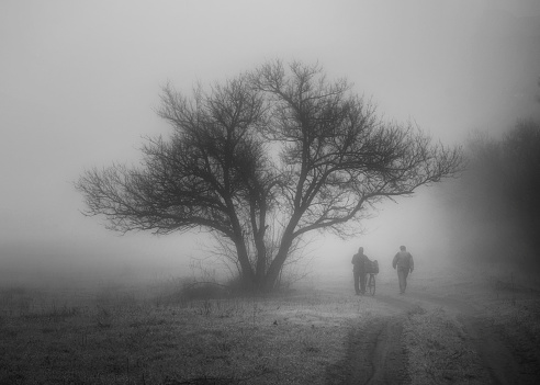 Two people walk on the road through the fog