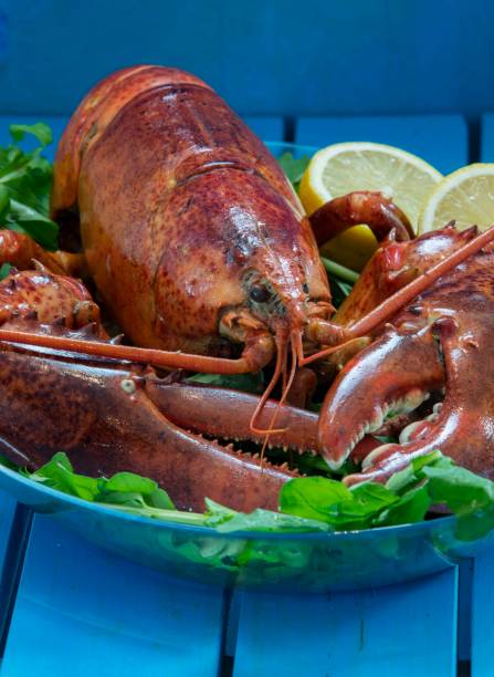 istock lobster dinner with lemon and lettuce garnish 1046561124